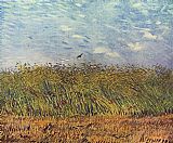 Vincent Van Gogh Wall Art - wheat field with a lark 1887